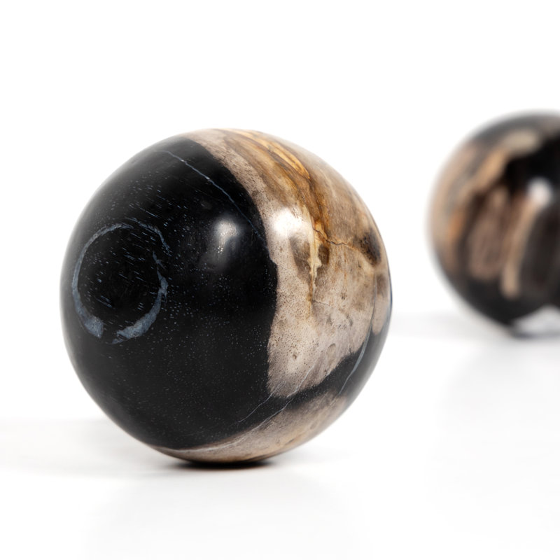 Petrified 3 Piece Deco Wood Sculpture Set