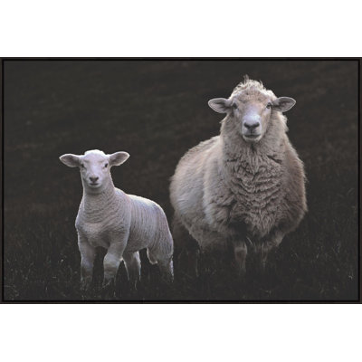 Counting Sheep 1 Print by Studio L57 Narrative
