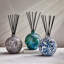 Absolute Forest Oakmoss Reed Diffuser