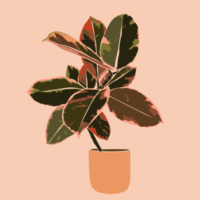 Silhouette d'une plante