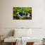 Cascade Alvord Mossy