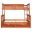 Lit superposé simple avec rangement couleur noyer et deux tiroirs-1095500687-1095500680