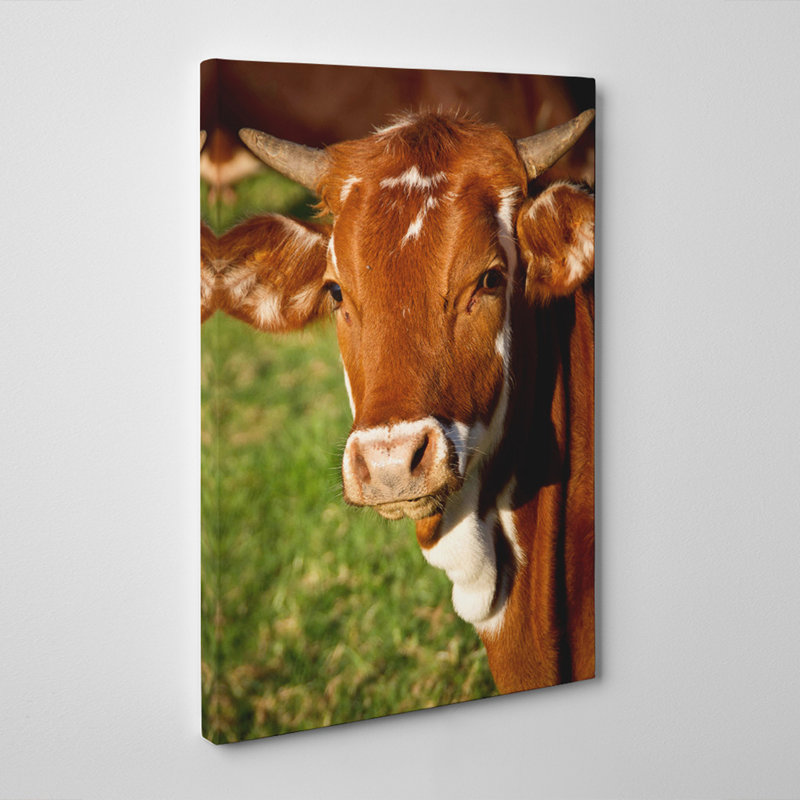 Wrapped Canvas Print, 76cm H x 50cm W