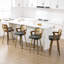 Upholstered Cane Back Counter & Bar Stool With Armrest-2133399062-2129382414