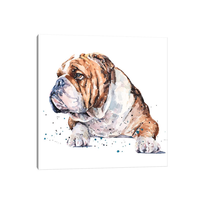 English Bull Dog - Wrapped Canvas Painting, 45.72 cm H x 45.72 cm W