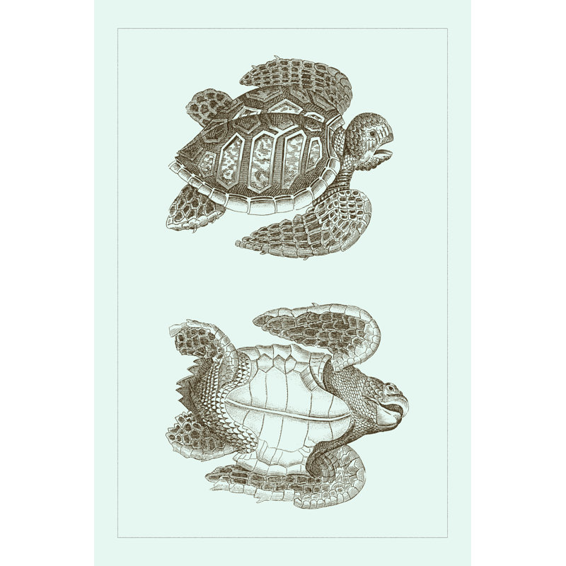 Tortue caouanne I, H 18 po x l 12 po x P 1,25 po