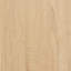 Sandara 12 Pair Shoe Storage Cabinet-1059297784