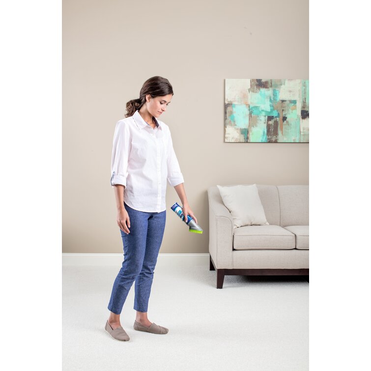 Woolite Carpet & Upholstery Foam Cleaner - 12 oz