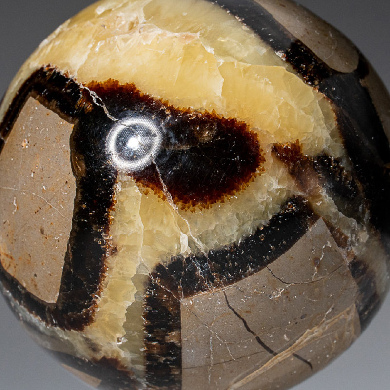 Genuine Polished Septarian (2") Sphere from Madagascar, 2" H x 2" W x 2" D, Yellow/ Gray