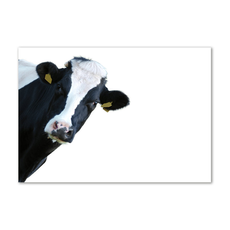 Cow - Wrapped Canvas Print