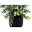 Artificial Plant, 11" Tall, Eucalyptus Grass, Indoor, Faux, Fake, Table, Greenery, Potted, Set Of 2, Decorative, Green Leaves, Black Pots