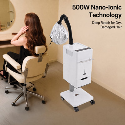 Steamer professionnel avec support roulant, 500 W | Machine à cheveux Nano Mist pour la maison et la beauté