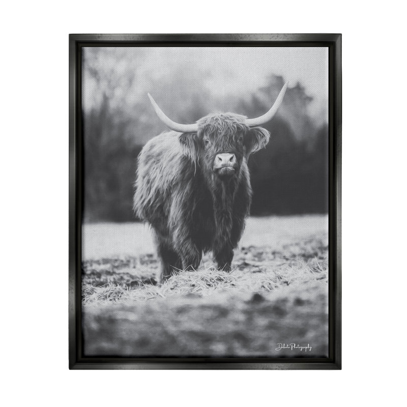 «Grazing Bovins Farmhouse», photographie sur toile flottante par Dakota Diener, H 21 po x l 17 po x P 1,7 po