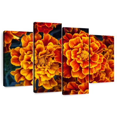 Fleurs de souci Harnek