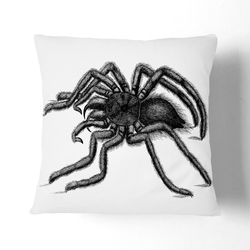 Square Cushion, 40cm H x 40cm W x 15cm D