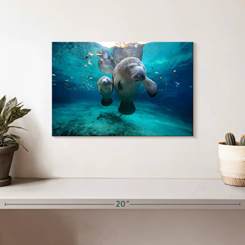 Brampt Manatee And Calf, 8" H x 12" W