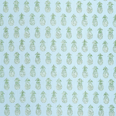 Piña Cove Indoor/Outdoor Fabric