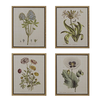 4Piece Botanical Illustration Framed Canvas Wall Art Set