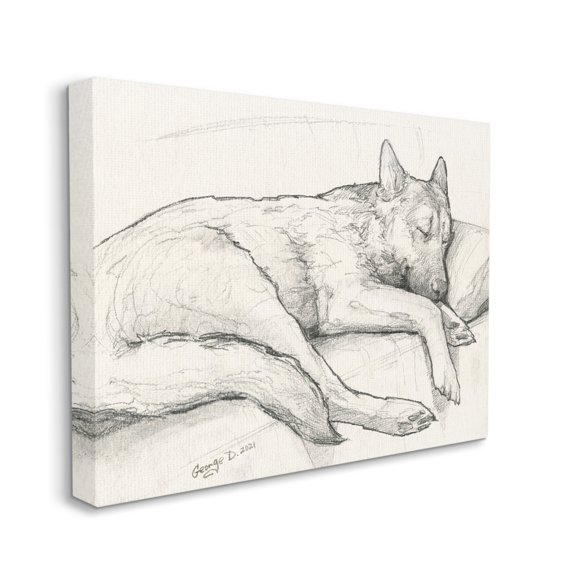 Corgi Dog Lolling Tongue Graphite Pencil Sketch On Canvas by George  Dyachenko Print