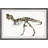 Brooten 'T-Rex Fossil' Framed Print-789865796