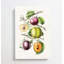 Illustration of Prunes - Wrapped Canvas-55304594