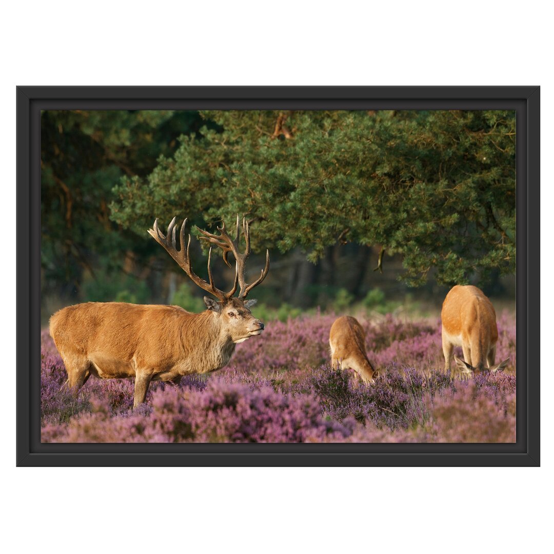 Gerahmtes Wandbild Hirschfamilie FrÃ¼hling