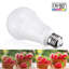Ampoule DEL A21 à intensité variable, 17 W (100 W éqv.), Culot E26, blanc doux-56785839