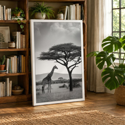 Giraffe Under Acacia Vintage - Wrapped Canvas