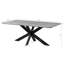 SEATTLE Solid Wood Top Metal Base Dining Table