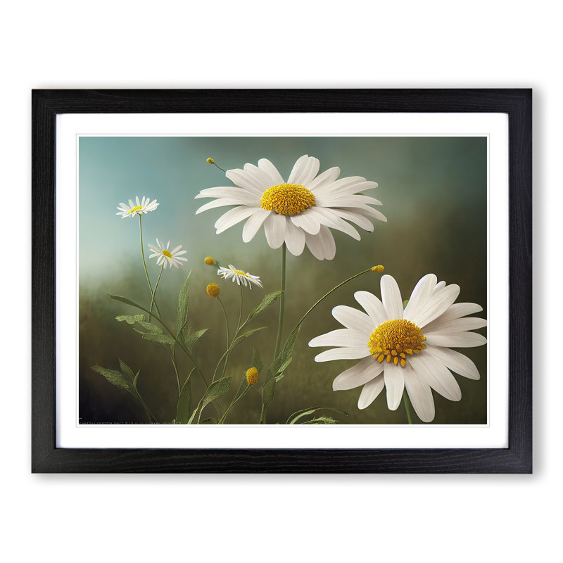 Artsy Daisy Flowers - Framed Print, Black, 46cm H x 64cm W