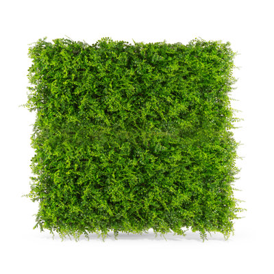 2 ft. H x 2 ft. W Polyethylene Privacy Screen by Naturae Decor