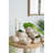 11.5X7x7" Sand And Cement Nautilus Shell Planter With Textured Beige Finish