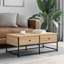 Gakona Frame Coffee Table with Storage-964489665-883077896