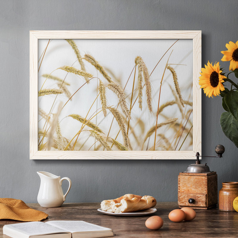 Blé encadré sur toile, H 18 po x l 26 po, Blanc