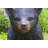 Bear Cub Walking Statue