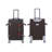 Softside Upright Luggage Set , Lightweight,4-Piece (20//24/28/32)