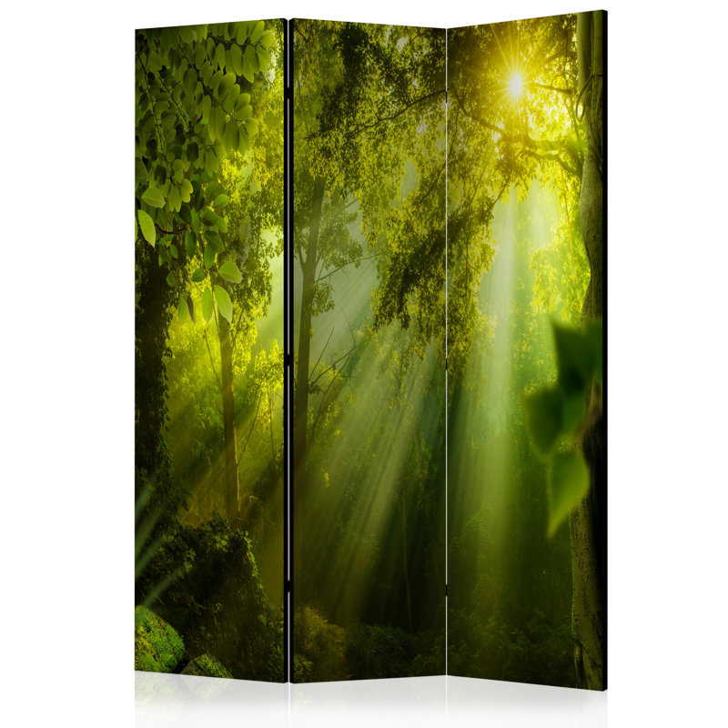 Calloway 172cm H Folding Room Divider, 3