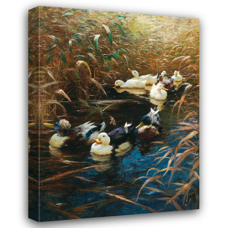 «Ducks in Autumn Reeds» par Alexander Koester - Art mural sur toile tendue avec châssis, H 18 po x l 14 po