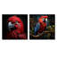Ensemble de 2 perroquets Crimson Elegance-103944086-103944087
