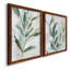 " Tropical Foliage Study I " 2 - Pieces Painting Print