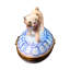 Dogs Handmade Ceramic Decorative Box