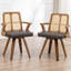 Chaises de salle à manger rembourrées Modern-230959636
