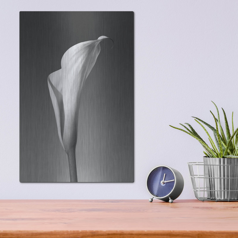 «Calla No. 4» par PhotoINC Studio, H 16 po x l 12 po