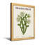 «Plants & Flowers Dragon Fruit Cactus Flower», reproduction d'art botanique-1903452852-1903452811-1903452815