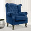 Baden Wingback Chair-36864118-134098281