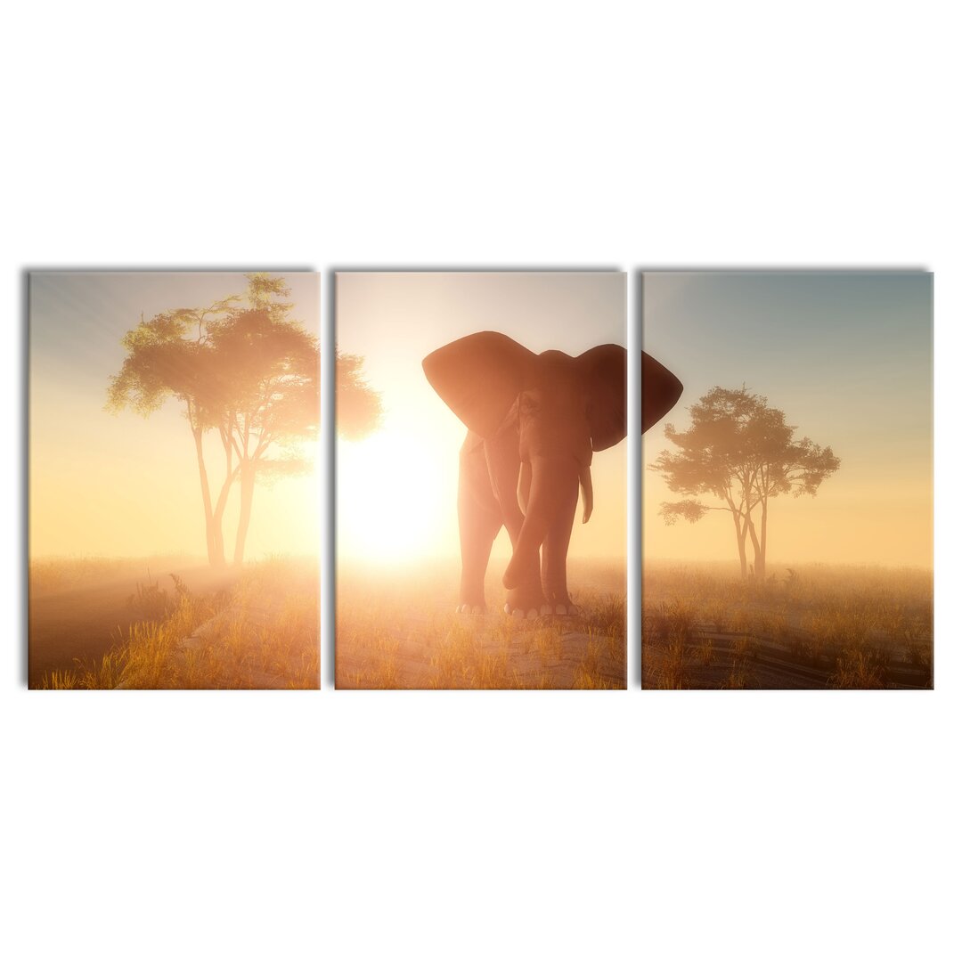 3-tlg. Leinwandbilder-Set Elephant in the Desert