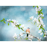 Blue Birds In Cherry Blossoms 2