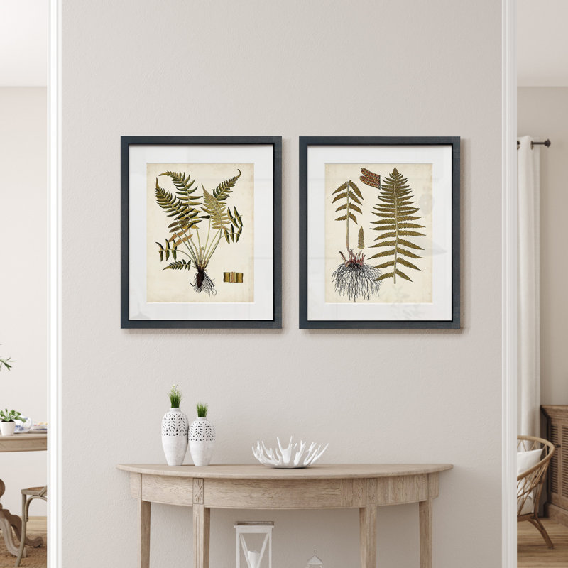 Fougère Botanical IV-ensemble de 2 reproductions d’art sur papier encadrée, Cadre noir