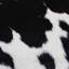 Cowhide Rug Black And White