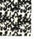 Contemporary Rectangle Black/White Washable Area Rug